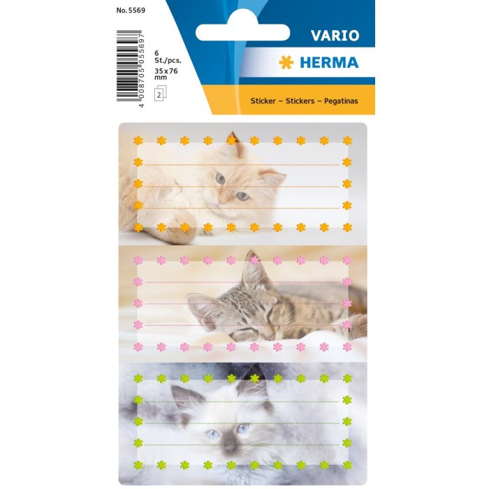 La scuola etichetta i gatti, luccicava