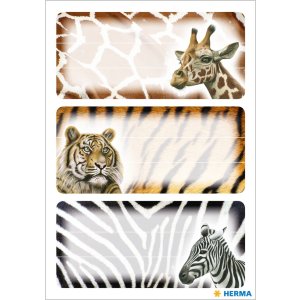 Scuola VARIO Animali africani