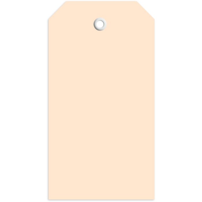 Cartellino 60x113 mm con occhiello in plastica 1000 pz.