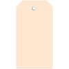 Cartellino 60x113 mm con occhiello in plastica 1000 pz.