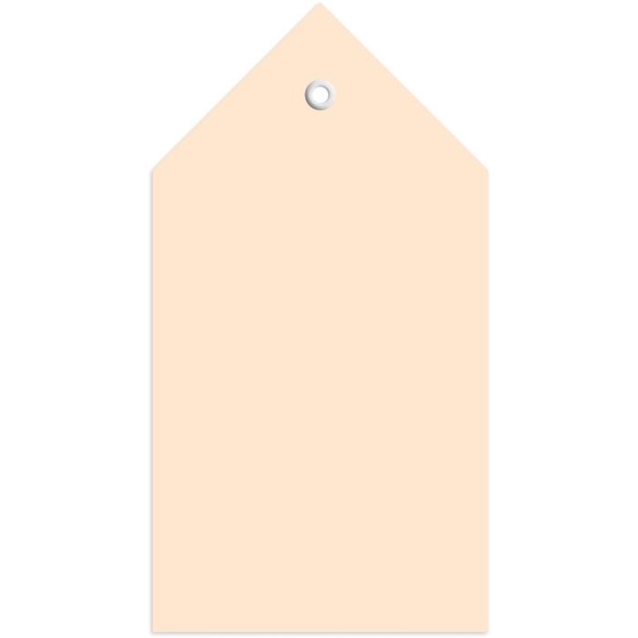 Cartellini 80x150 mm con occhiello in plastica e angoli ripiegati 250 pz.