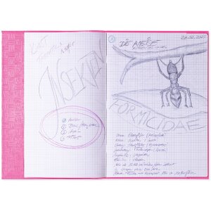 Copertina del quaderno pp a4 rivestito-rosa