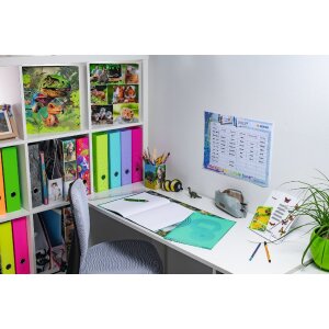 Copertina per quaderno PP A4 trasparente-verde