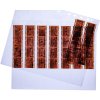Manicotti negativi, trasparenti, per strisce 7 x 5, 100 pezzi.