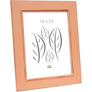 S46FF9 Cornice rosa antico 30x45 cm