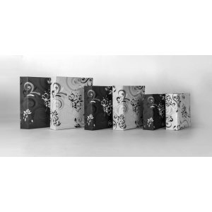 ZEP Album a pressione Umbria 100 foto 13x19 cm bianco