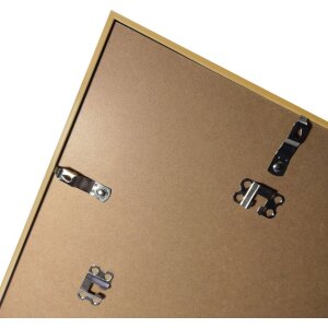Cornice in plastica Puro 30x40 cm oro