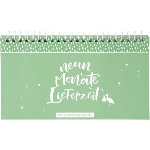 Diario di gravidanza Piccolo miracolo