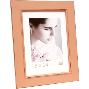 S46FF9 Cornice per foto in rosa antico