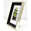 Telaio S46GD2 in nero combinato con il colore argento