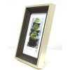Telaio S46GD7 in grigio abbinato al colore argento