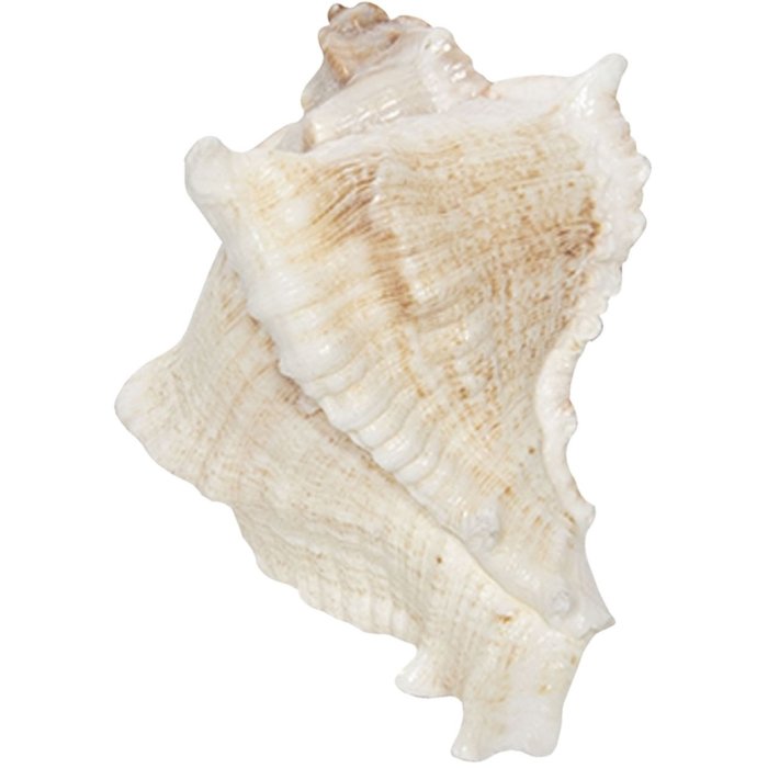 Pomello per porta 7x6 cm - Clayre & Eef 64183