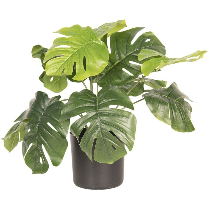 Pianta da decorazione Monstera Deliciosa 42x42x40 cm