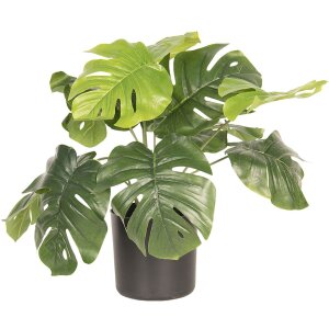 Pianta da decorazione Monstera Deliciosa 42x42x40 cm