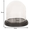 Clayre & Eef 6GL2488 Campana di vetro 18x15x18 cm Legno marrone Vetro Ovale