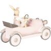 Decorazione Coniglio in auto 24x9x18 cm - 6PR2633