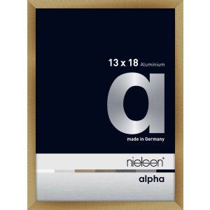 Cornice Nielsen in alluminio Alpha 13x18 cm spazzolato ambra