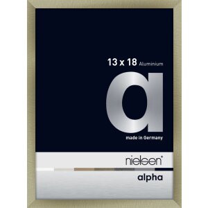 Cornice Nielsen in alluminio Alpha 13x18 cm in acciaio...