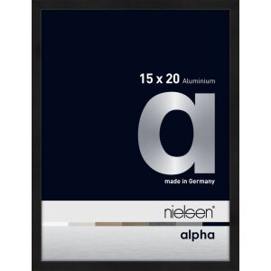 Cornice Nielsen in alluminio Alpha 15x20 cm anodizzato...