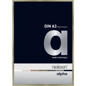 Cornice Nielsen in alluminio Alpha 29,7x42 cm in acciaio...