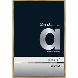 Cornice Nielsen in alluminio Alpha 30x45 cm ambra spazzolata