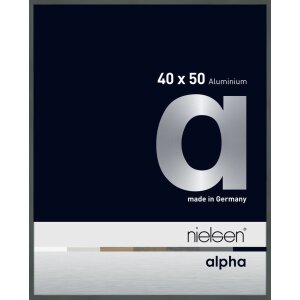 Cornice Nielsen in alluminio Alpha 40x50 cm platino
