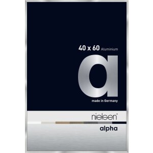 Cornice Nielsen in alluminio Alpha 40x60 cm argento