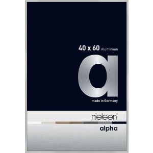 Cornice Nielsen in alluminio Alpha 40x60 cm argento opaco