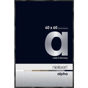 Cornice Nielsen in alluminio Alpha 40x60 cm anodizzato...