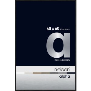 Cornice Nielsen in alluminio Alpha 40x60 cm anodizzato...