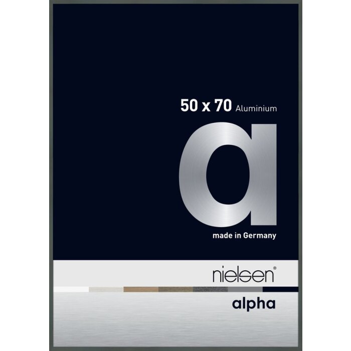 Cornice Nielsen in alluminio Alpha 50x70 cm platino