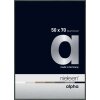 Cornice Nielsen in alluminio Alpha 50x70 cm platino