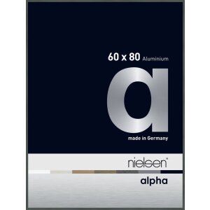 Cornice Nielsen in alluminio Alpha 60x80 cm platino