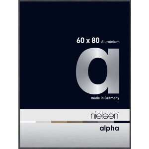 Cornice Nielsen in alluminio Alpha 60x80 cm grigio