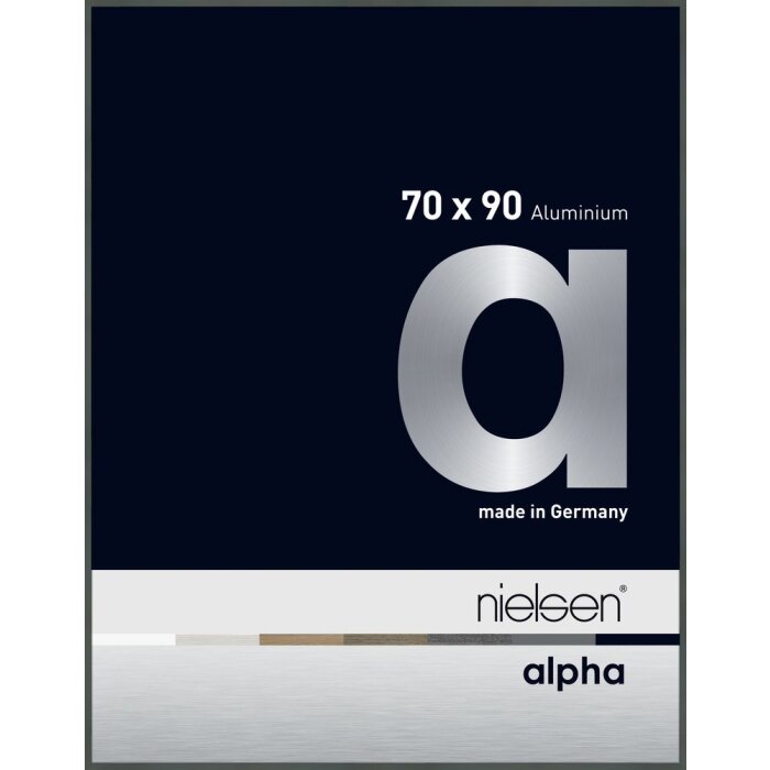 Cornice Nielsen in alluminio Alpha 70x90 cm platino
