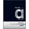 Cornice Nielsen in alluminio Alpha 70x90 cm platino