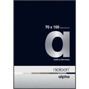 Cornice Nielsen in alluminio Alpha 70x100 cm grigio scuro...