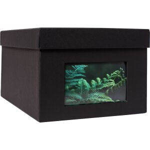 XL Photo Box Kandra 700 foto 15x20 cm nero