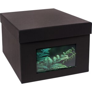 XL Photo Box Kandra 700 foto 15x20 cm nero