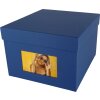 HNFD XL Photo Box Kandra 700 foto 15x20 cm jeans