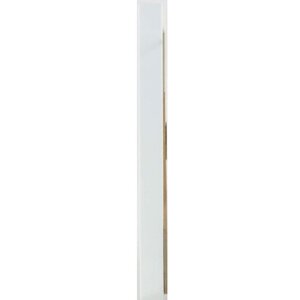 Cornice in plastica Paris 10x15 cm bianco