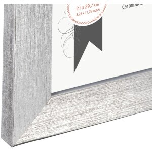 Cornice in plastica Paris 21x30 cm argento