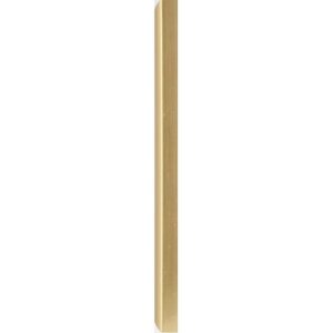 Cornice in plastica Sofia 13x18 cm oro