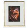 Cornice di legno Hama Phoenix 24x30 cm oro