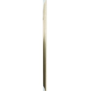 Cornice in plastica Lobby 20x30 cm oro