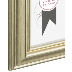 Cornice in plastica Lobby 21x30 cm oro