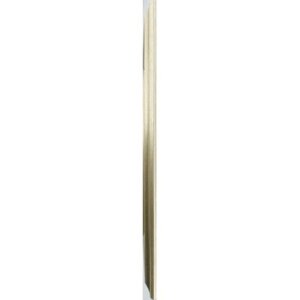Cornice in plastica Lobby 21x30 cm oro
