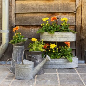 Decorazione Annaffiatoio 44x12x22 cm Clayre & Eef 6Y3728