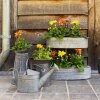 Portapiante 49x22x55 cm Clayre & Eef 6Y3741
