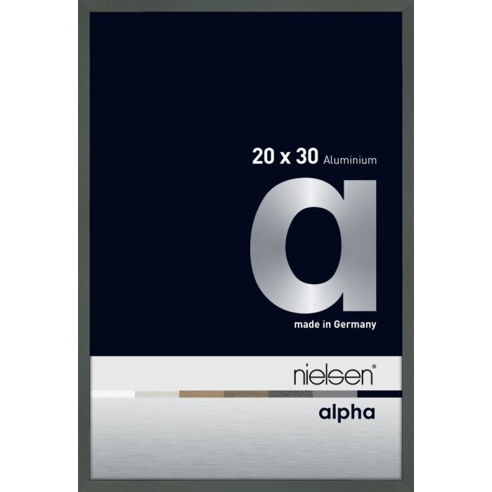 Cornice Nielsen in alluminio Alpha TCSC 20x30 cm platino